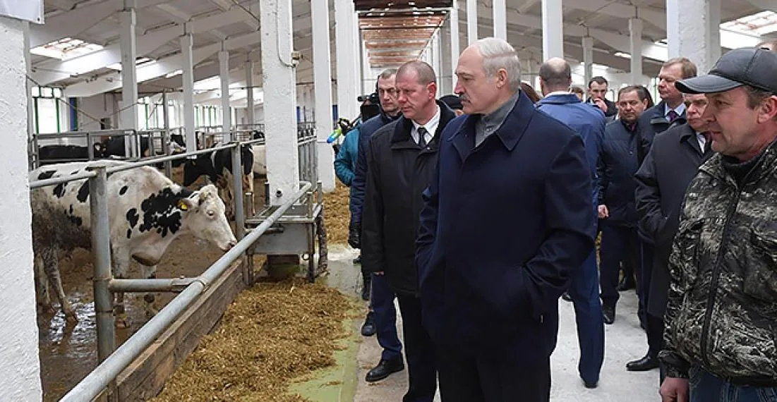 Изображение к материалу: Один из заводов Беларуси на российском газе заработал более 200 млн. долларов