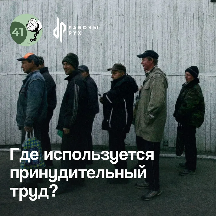 Изображение к материалу: Где используется принудительный труд?
