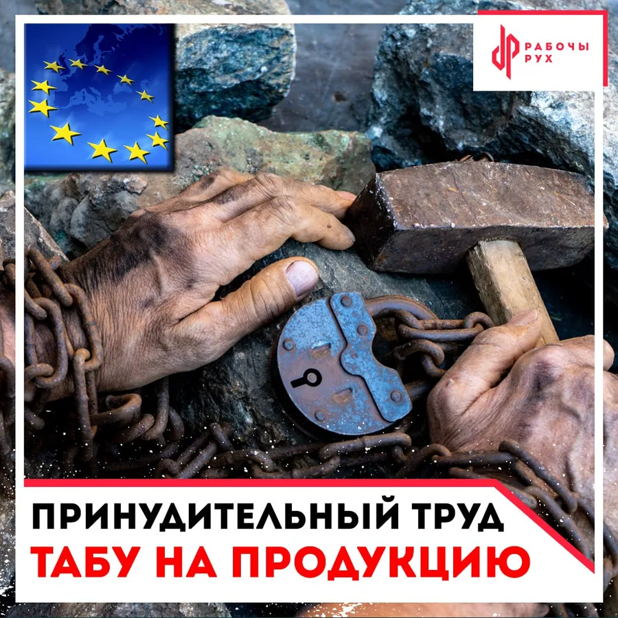 Изображение к материалу: В ЕС рассматривают проект запрета продукции, произведенной с использованием принудительного труда