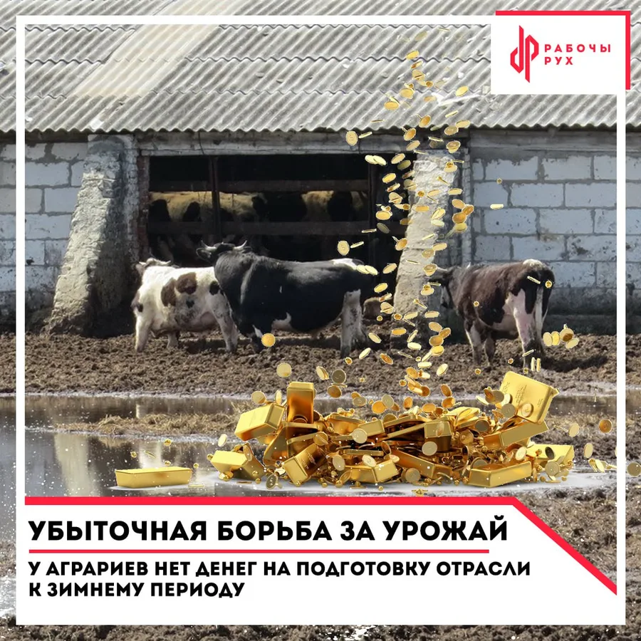 Изображение к материалу: Убыточная борьба за урожай: у аграриев нет денег на подготовку отрасли к зимнему периоду